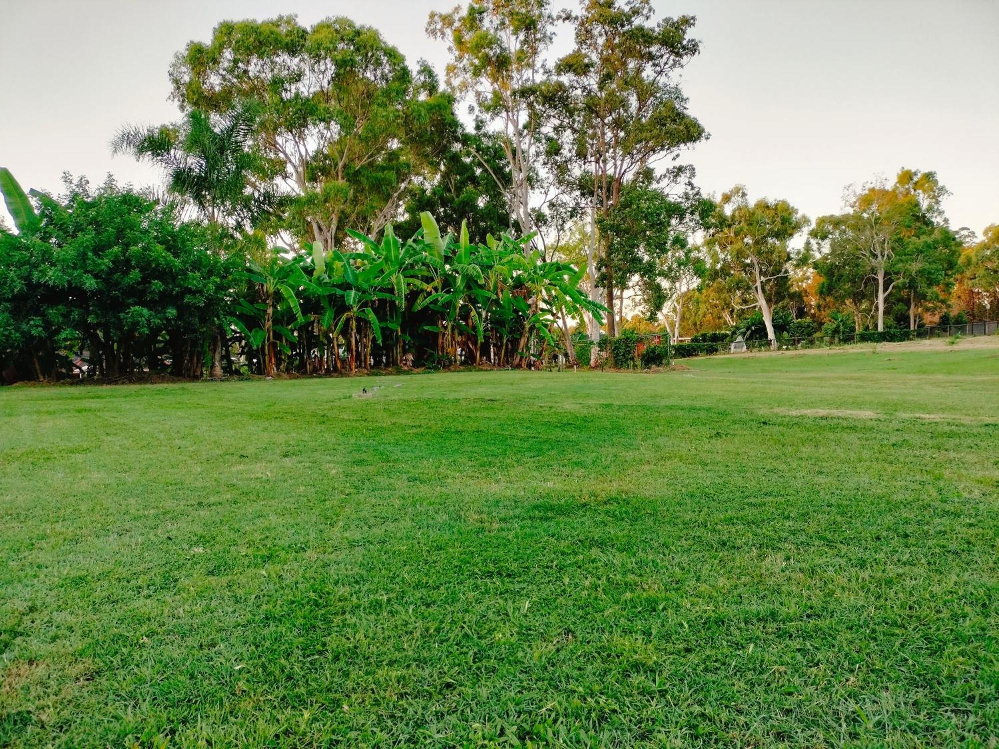 The Woodlands Hideaway - Premium Acreage Guesthouse 브라운스 플레인즈 외부 사진